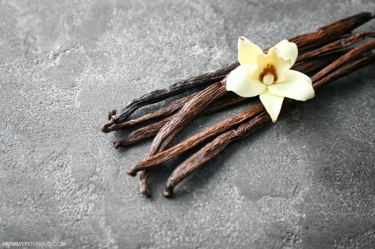 Spiritual Meaning of Smelling Vanilla