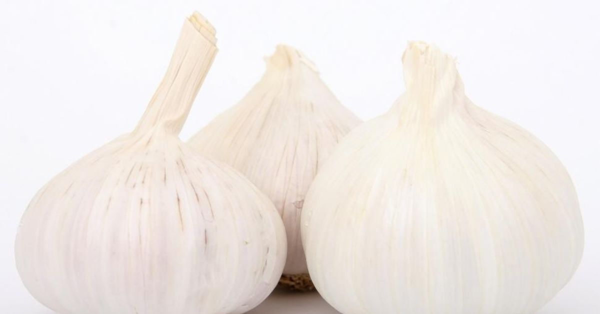 What Does The Smell Of Garlic Mean Spiritually