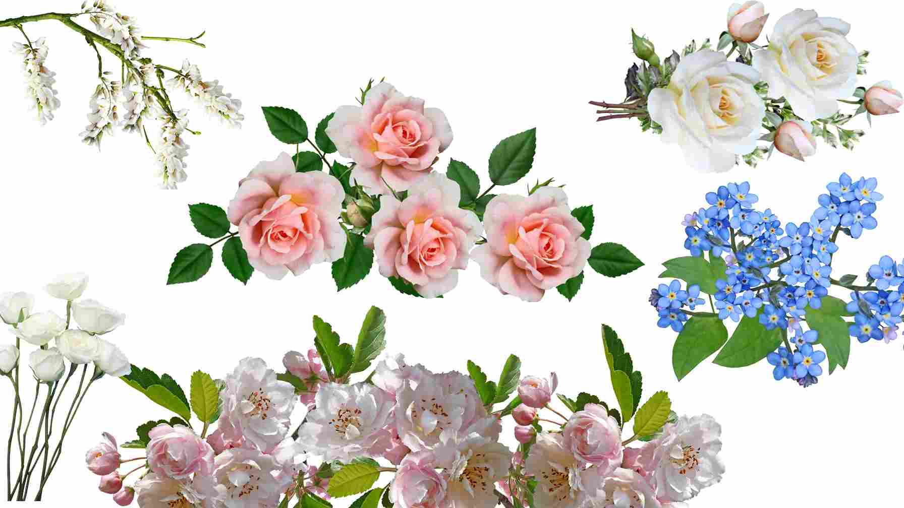 Spiritual Meaning of Smelling Flowers