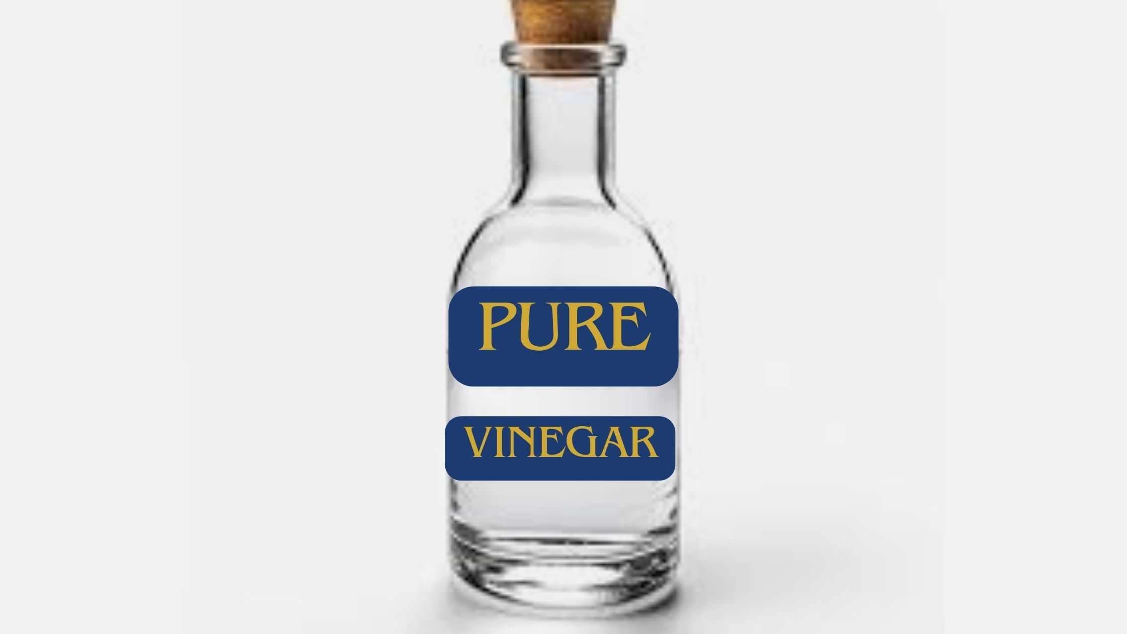 Spiritual Meaning of Vinegar