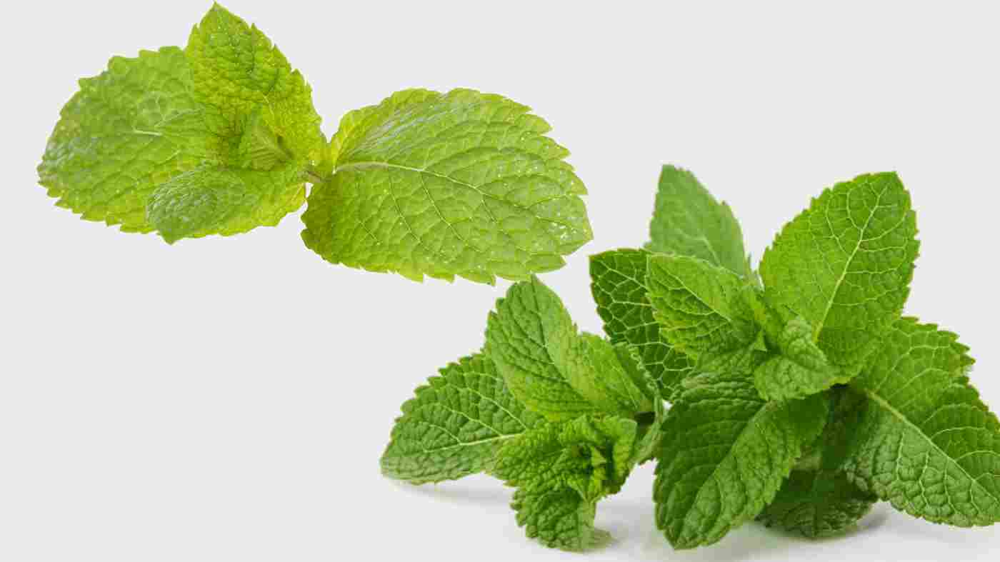 Spiritual Meaning of Smelling Peppermint